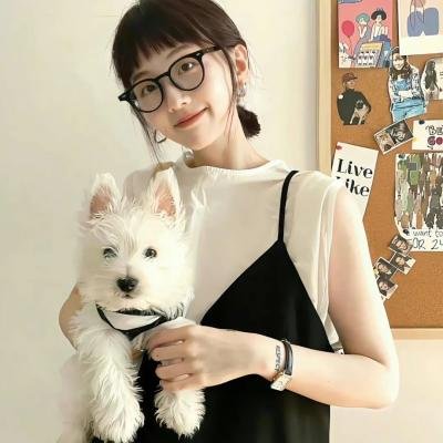 犬出没注意
