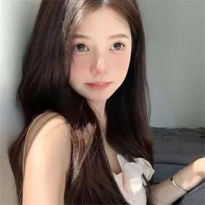 双子座计划